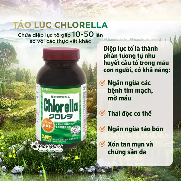 Vien-uong-tao-chlorella-chong-oxi-hoa-dao-thai-doc-to-(1).jpg
